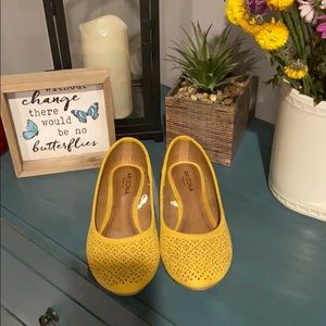 Arizona mustard flats